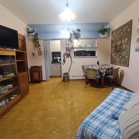 Il Gelsomino Piano Terra Appartement Camaiore
